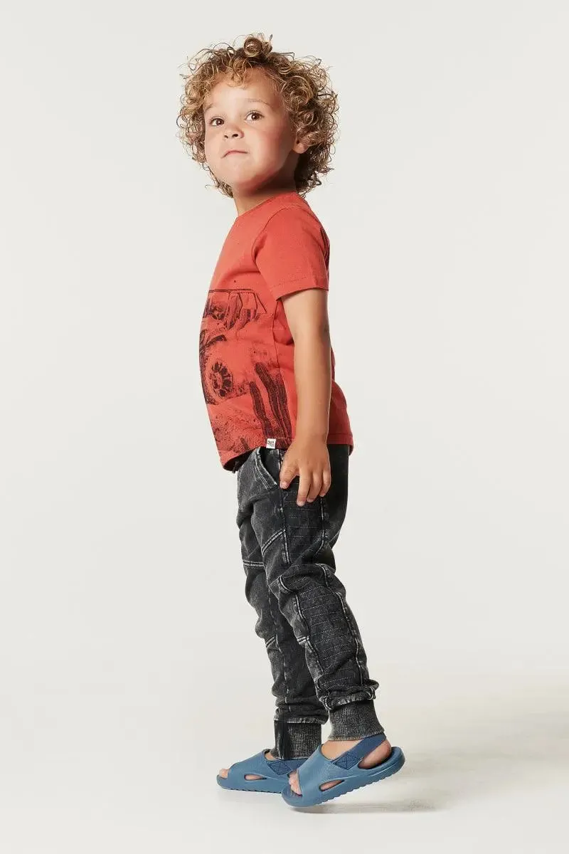 Boys Tee Shortsleeve Garoua | Noppies