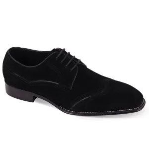 Samson Suede Wingtip Shoe by Giovanni